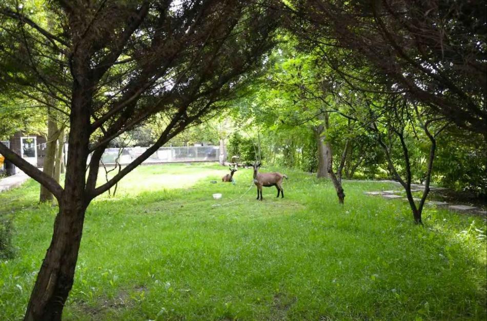 Leleka Hostel Esbly Dış mekan fotoğraf