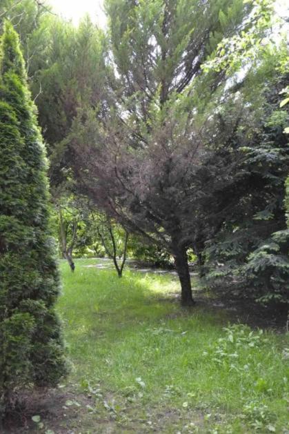 Leleka Hostel Esbly Dış mekan fotoğraf